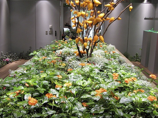 Illustration for article titled Visiting an Underground Garden Built in a Former Bank Vault Under Tokyo